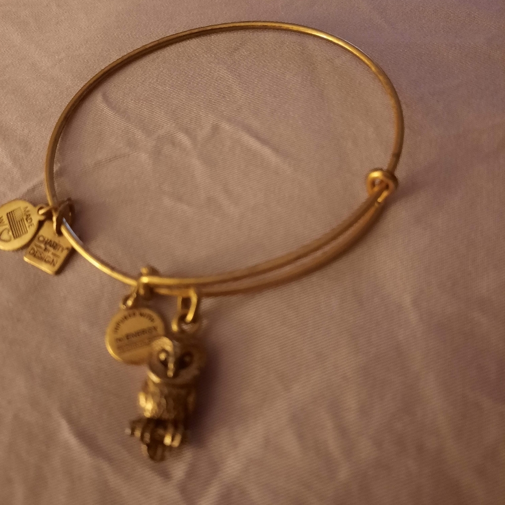 Alex and Ani Owl bracelet